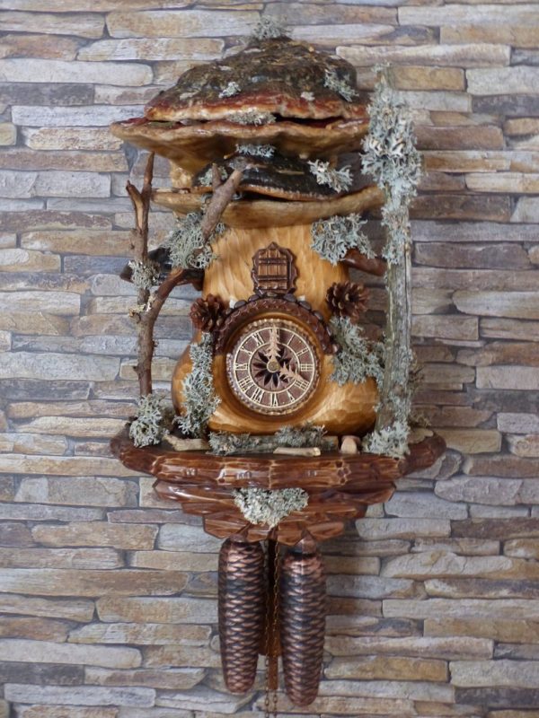 MCC mushroomclock 8-day