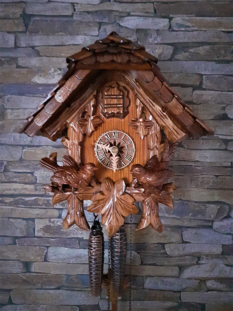 MCC Haus 1-Tag Vögel